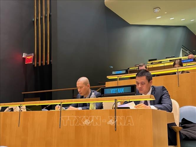 Vietnam emphasises international resources for causes of peace and development